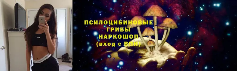 МЕГА онион  купить  цена  Порхов  Псилоцибиновые грибы Psilocybine cubensis 